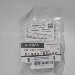 214308993A Nắp két nước NISSAN TEANA J32